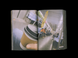 Portfolio of Matt Scott Barnes // mattscottbarnes.com