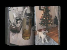 Portfolio of Matt Scott Barnes // mattscottbarnes.com