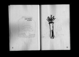 Portfolio of Matt Scott Barnes // mattscottbarnes.com