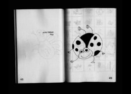 Portfolio of Matt Scott Barnes // mattscottbarnes.com