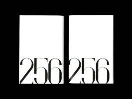 Portfolio of Matt Scott Barnes // mattscottbarnes.com