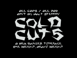 Portfolio of Matt Scott Barnes // mattscottbarnes.com