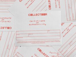 Portfolio of Matt Scott Barnes // mattscottbarnes.com