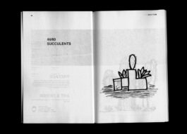 Portfolio of Matt Scott Barnes // mattscottbarnes.com