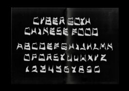 Portfolio of Matt Scott Barnes // mattscottbarnes.com