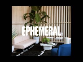 Portfolio of Matt Scott Barnes // mattscottbarnes.com