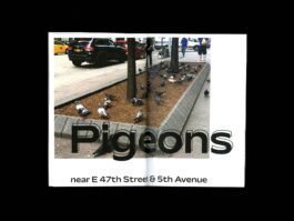 Portfolio of Matt Scott Barnes // mattscottbarnes.com