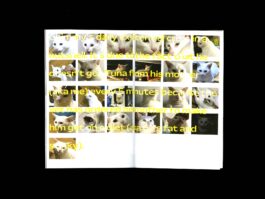 Portfolio of Matt Scott Barnes // mattscottbarnes.com