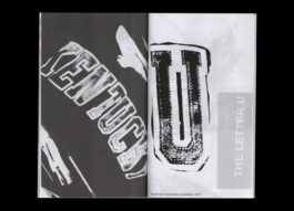 Portfolio of Matt Scott Barnes // mattscottbarnes.com