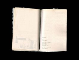 Portfolio of Matt Scott Barnes // mattscottbarnes.com