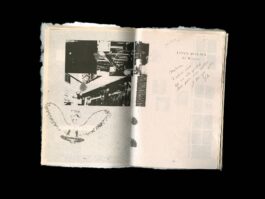 Portfolio of Matt Scott Barnes // mattscottbarnes.com