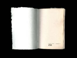 Portfolio of Matt Scott Barnes // mattscottbarnes.com