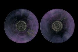 Portfolio of Matt Scott Barnes // mattscottbarnes.com