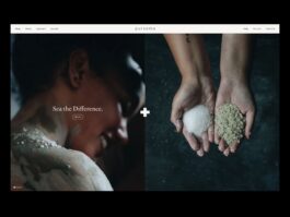 Portfolio of Matt Scott Barnes // mattscottbarnes.com