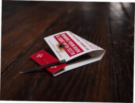 Portfolio of Matt Scott Barnes // mattscottbarnes.com