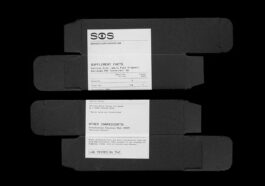 Portfolio of Matt Scott Barnes // mattscottbarnes.com