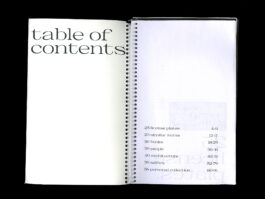 Portfolio of Matt Scott Barnes // mattscottbarnes.com