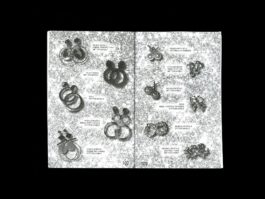 Portfolio of Matt Scott Barnes // mattscottbarnes.com