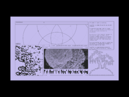 Portfolio of Matt Scott Barnes // mattscottbarnes.com