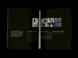 Portfolio of Matt Scott Barnes // mattscottbarnes.com