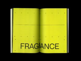 Portfolio of Matt Scott Barnes // mattscottbarnes.com