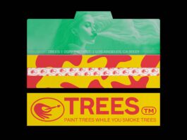 Portfolio of Matt Scott Barnes // mattscottbarnes.com