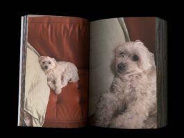 Portfolio of Matt Scott Barnes // mattscottbarnes.com