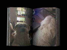 Portfolio of Matt Scott Barnes // mattscottbarnes.com