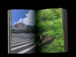 Portfolio of Matt Scott Barnes // mattscottbarnes.com