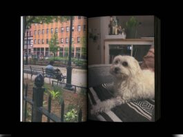 Portfolio of Matt Scott Barnes // mattscottbarnes.com