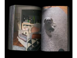 Portfolio of Matt Scott Barnes // mattscottbarnes.com