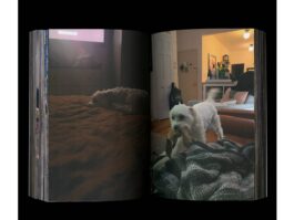 Portfolio of Matt Scott Barnes // mattscottbarnes.com