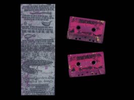 Portfolio of Matt Scott Barnes // mattscottbarnes.com