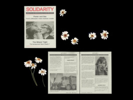 Portfolio of Matt Scott Barnes // mattscottbarnes.com