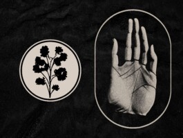 Portfolio of Matt Scott Barnes // mattscottbarnes.com