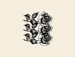 Portfolio of Matt Scott Barnes // mattscottbarnes.com