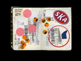 Portfolio of Matt Scott Barnes // mattscottbarnes.com