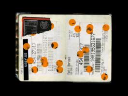 Portfolio of Matt Scott Barnes // mattscottbarnes.com