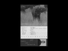 Portfolio of Matt Scott Barnes // mattscottbarnes.com