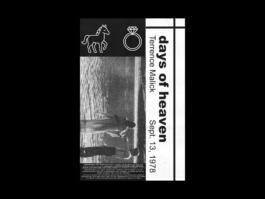 Portfolio of Matt Scott Barnes // mattscottbarnes.com