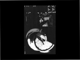 Portfolio of Matt Scott Barnes // mattscottbarnes.com