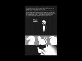 Portfolio of Matt Scott Barnes // mattscottbarnes.com