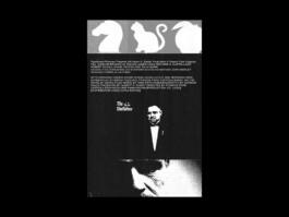 Portfolio of Matt Scott Barnes // mattscottbarnes.com