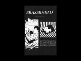 Portfolio of Matt Scott Barnes // mattscottbarnes.com