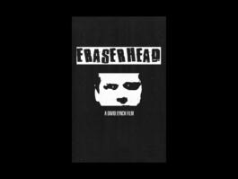 Portfolio of Matt Scott Barnes // mattscottbarnes.com