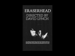 Portfolio of Matt Scott Barnes // mattscottbarnes.com