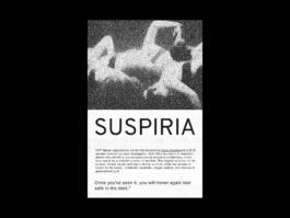 Portfolio of Matt Scott Barnes // mattscottbarnes.com