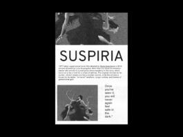 Portfolio of Matt Scott Barnes // mattscottbarnes.com