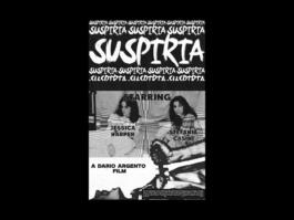 Portfolio of Matt Scott Barnes // mattscottbarnes.com