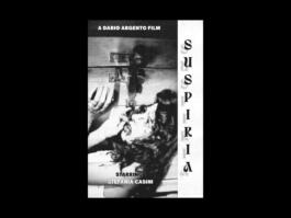 Portfolio of Matt Scott Barnes // mattscottbarnes.com